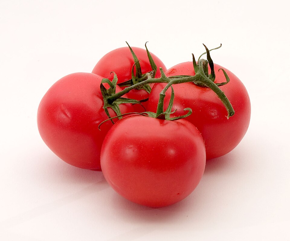 بندورة طازجة